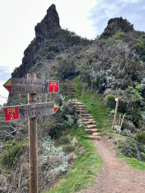 best time to visit fanal forest