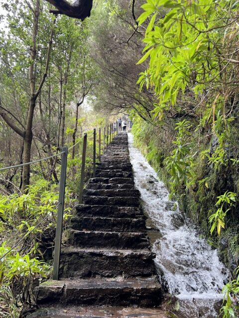 best time to visit fanal forest